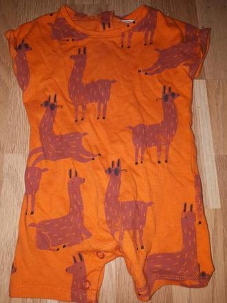 Overal s lamy 62 next, next,62