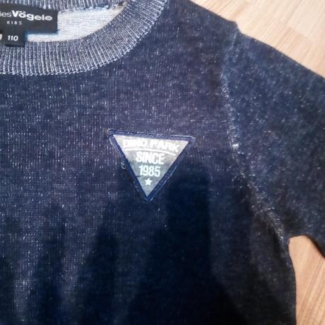 Svetrik charles vogel, 110