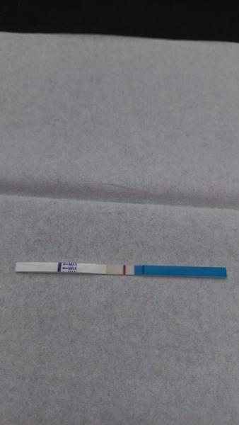 Vidíte něco nebo už blázním? 14 dní po IUI