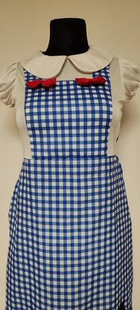 Dorotka ze země oz,