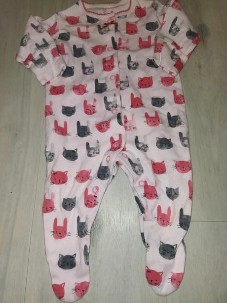 Overal se zajíčky 62 next, next,62