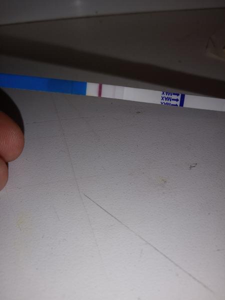 Lze považovat těhotenský test za pozitivní?