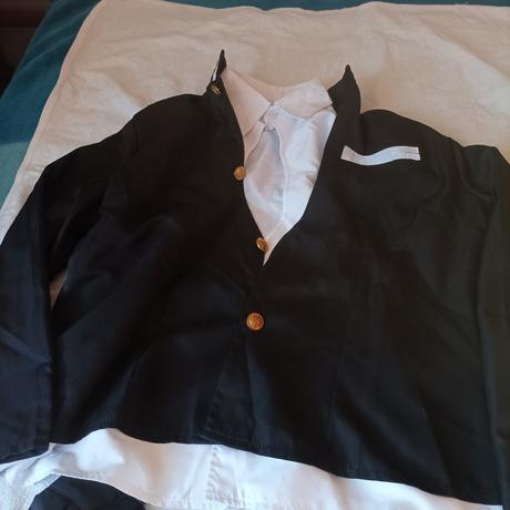 Kostým cosplay anime demon slayer mitsuri,