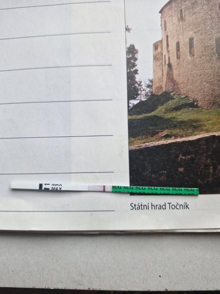 Výsledky těhotenského testu po 10 dnech po ovulaci. Co myslíte?