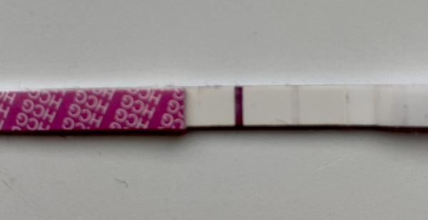 Kdy může být přibližný týden těhotenství?