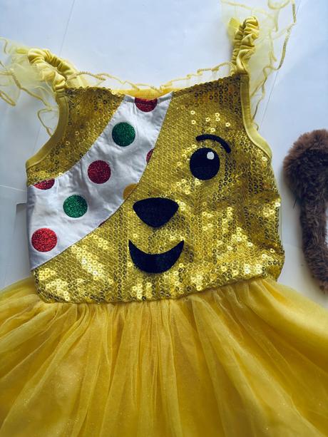 An7/ kostým šaty - v.5/6 let, 