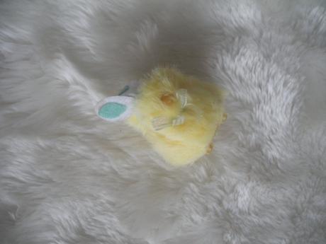 Kuřátko se zvukem, 