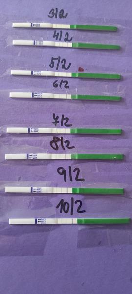 Ovulační testy Dr. Max. Mají opravdu smysl?