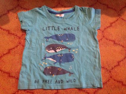 Klučičí tričko velryby vel. 80 - 86, pepco,80