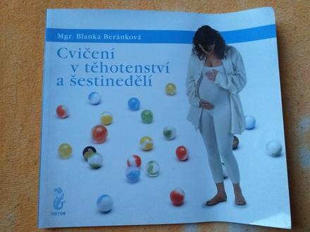 Cvičení v těhotenství a šestinedělí, 
