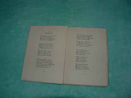 Černý motýl, sonja špálová, 