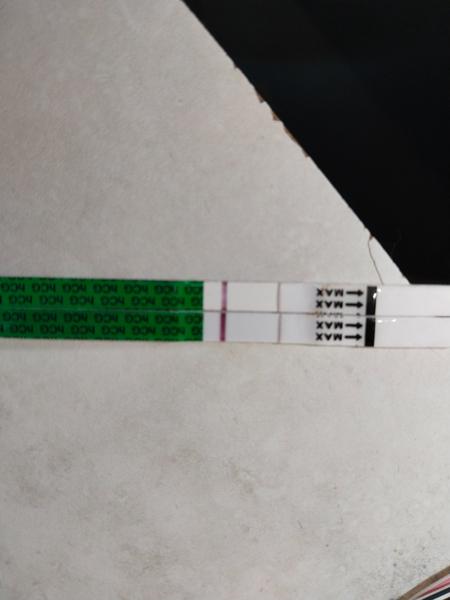 Je výsledek těhotenského testu mé sestry pozitivní?