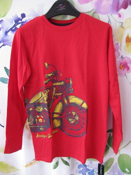 Chlapecké bavlněné tričko st.bernard, st. bernard,140