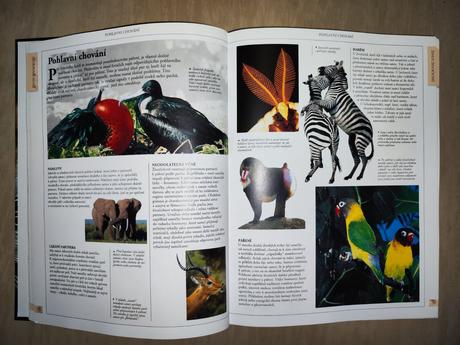 Kniha svět zvířat - velká obrazová encyklopedie,
