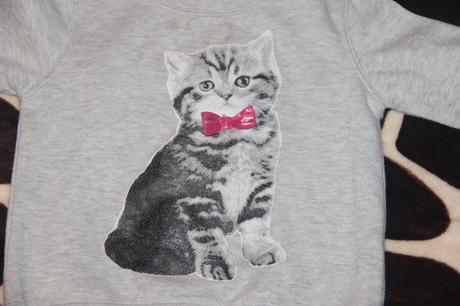 Mikina s kočičkou, 104