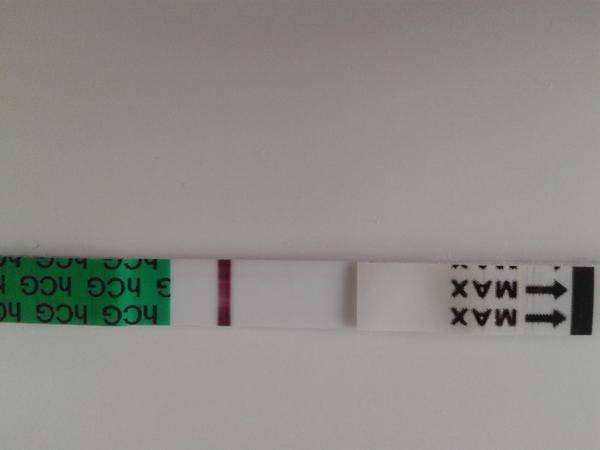 Tt v den očekávané ms. Co myslíte?