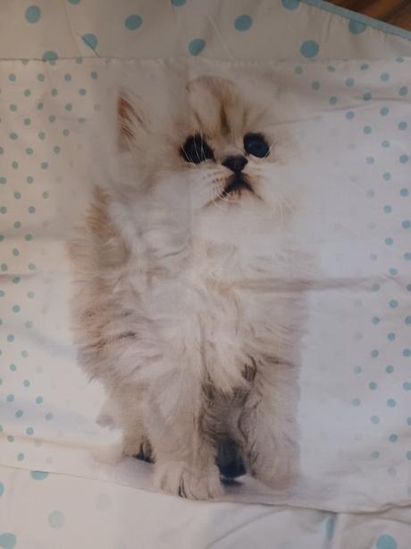 Dětské povlečení na velkou postel s kočičkou, šířka (cm): 130,délka (cm): 190