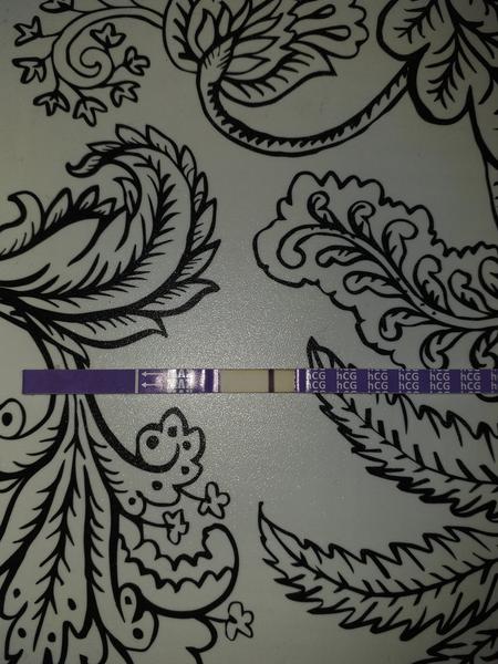 2 dny zpoždění. Je možné, že se ještě ukážou dvě //?