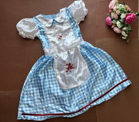 An3/ kostým dorotka ze země oz - v.6/8 let,