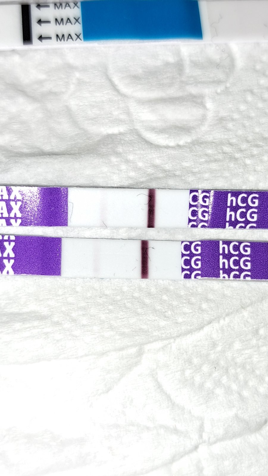 Test 3. a 2. den před menstruací. Co myslíte? - Modrý koník