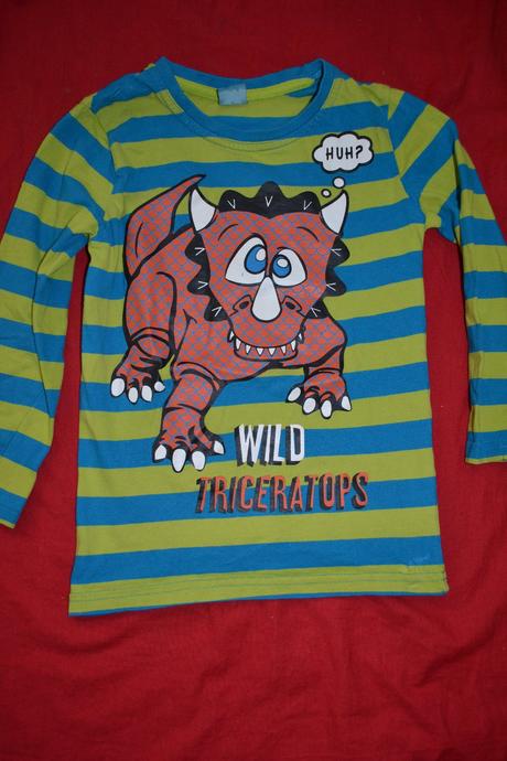 Tričko bavlna s ještěrem,v.122, kiki&koko,122