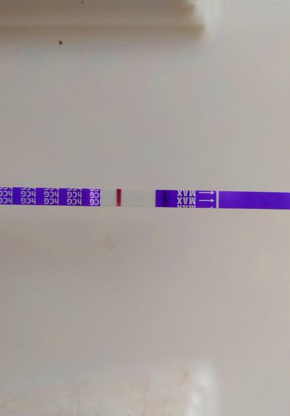 Je možné, že se objevil piďi dušík?