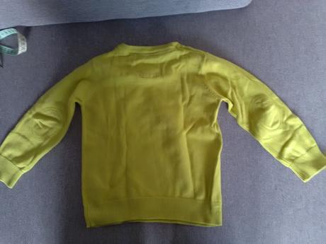 Svetřík, palomino,98