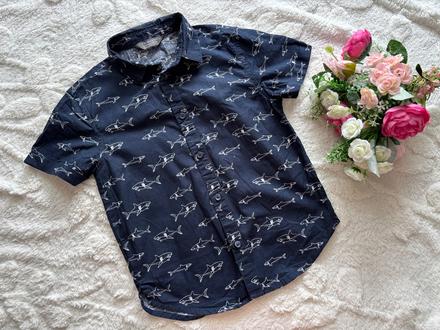 Košile modrá se žraloky - v.4/5 let( 5/6 let), primark,110