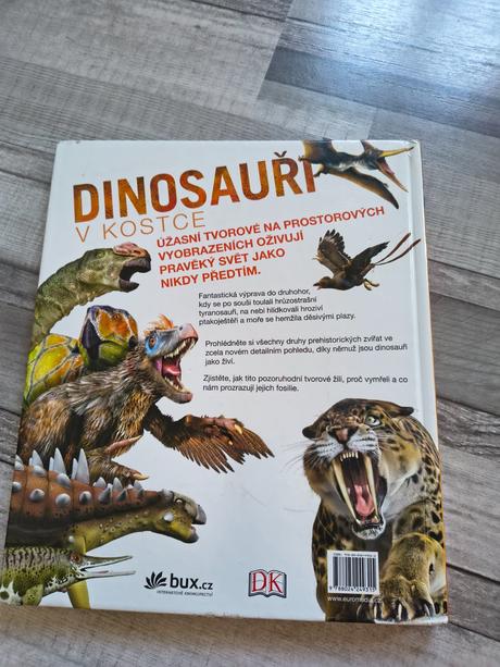 Kniha dinosauři v kostce,