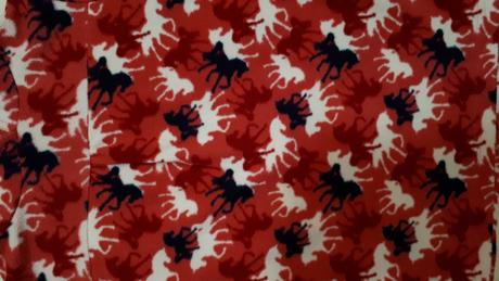 Dětská fleesová mikina, mikinka, s kapucí, vel.104, topolino,104