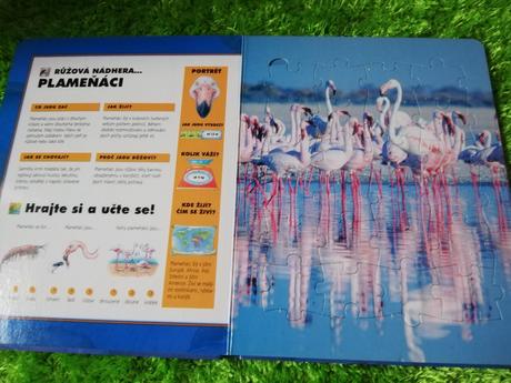 Kniha o zvířatech,