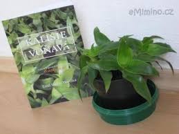 Kalísia voňavá tinktúra -extra silná-60 per. lieh, 