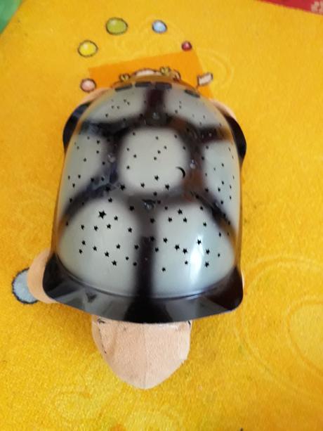 Želva hvězdné nebe,