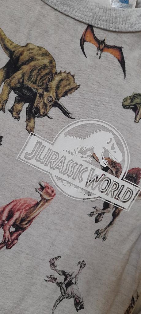 Melírové dinosauří tričko s dlouhým rukávem, h&m,128