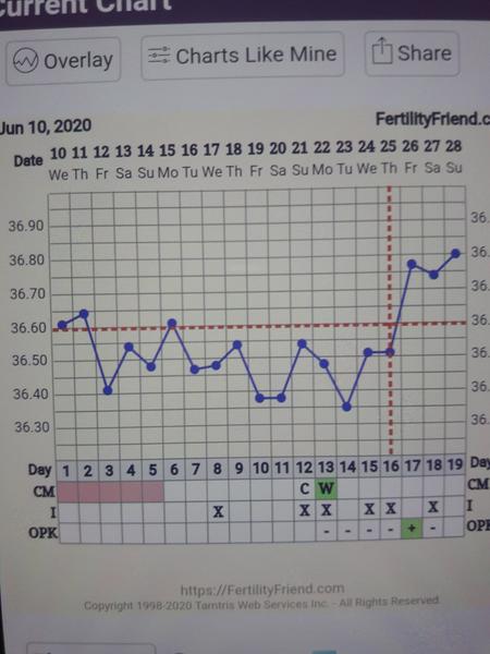 Ovulace. Podle ovul.testů nebo podle bazální teploty?
