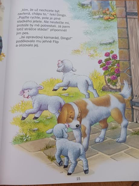 Kniha rok na statku., 