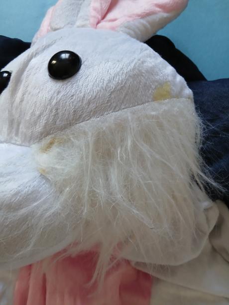 Kostým na karneval, 