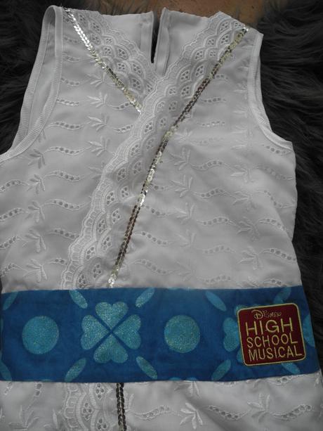 Karnevalový kostým hsm, 