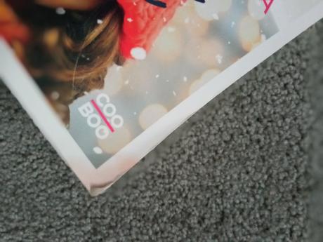 Kniha vánoční seznam,