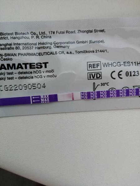 Jsem těhotná? Jak správně interpretovat výsledky těhotenského testu