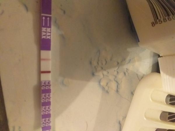 Myslíte, že se fakt zadařilo?