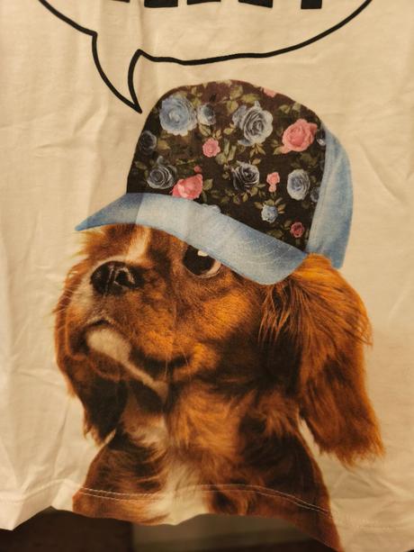 Tričko s pejskem h&m 122/128, h&m,128