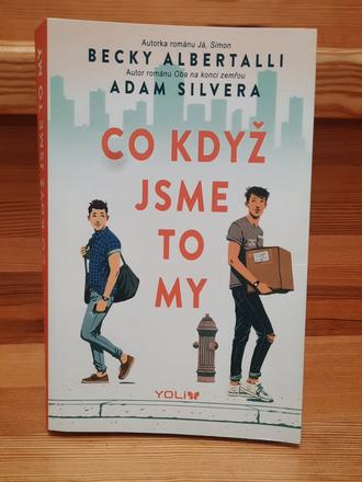Kniha co když jsme to my - adam silvera,