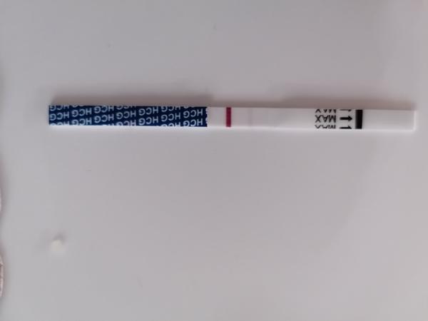 Prosím, vidíte tam něco? Nebo jen má představa...