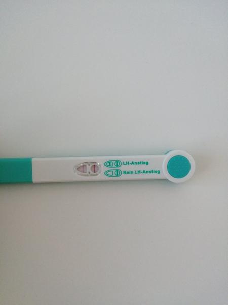 Je test spolehlivý? Zkušenosti ostatních uživatelů.