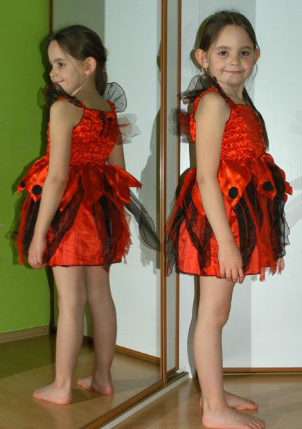 Karnevalové šaty beruška,