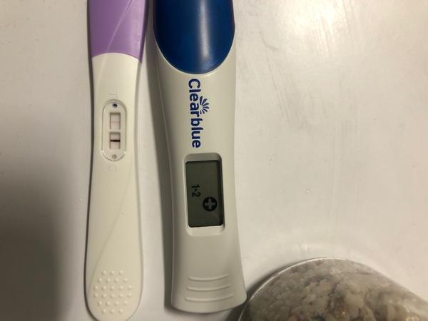 Skoro každý den testuji (testy od pátku 25.9.). Mohla bych být těhotná?