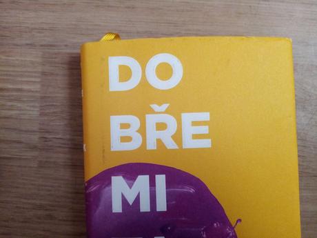 Kniha dobře mi tak (třeštíková), 