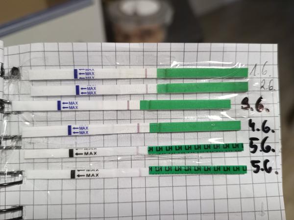 Jsou mé ovulační testy správné nebo nefungují?