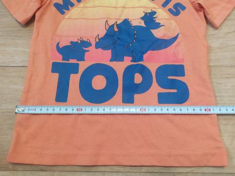 Tričko s dinosaury, 104 / 110